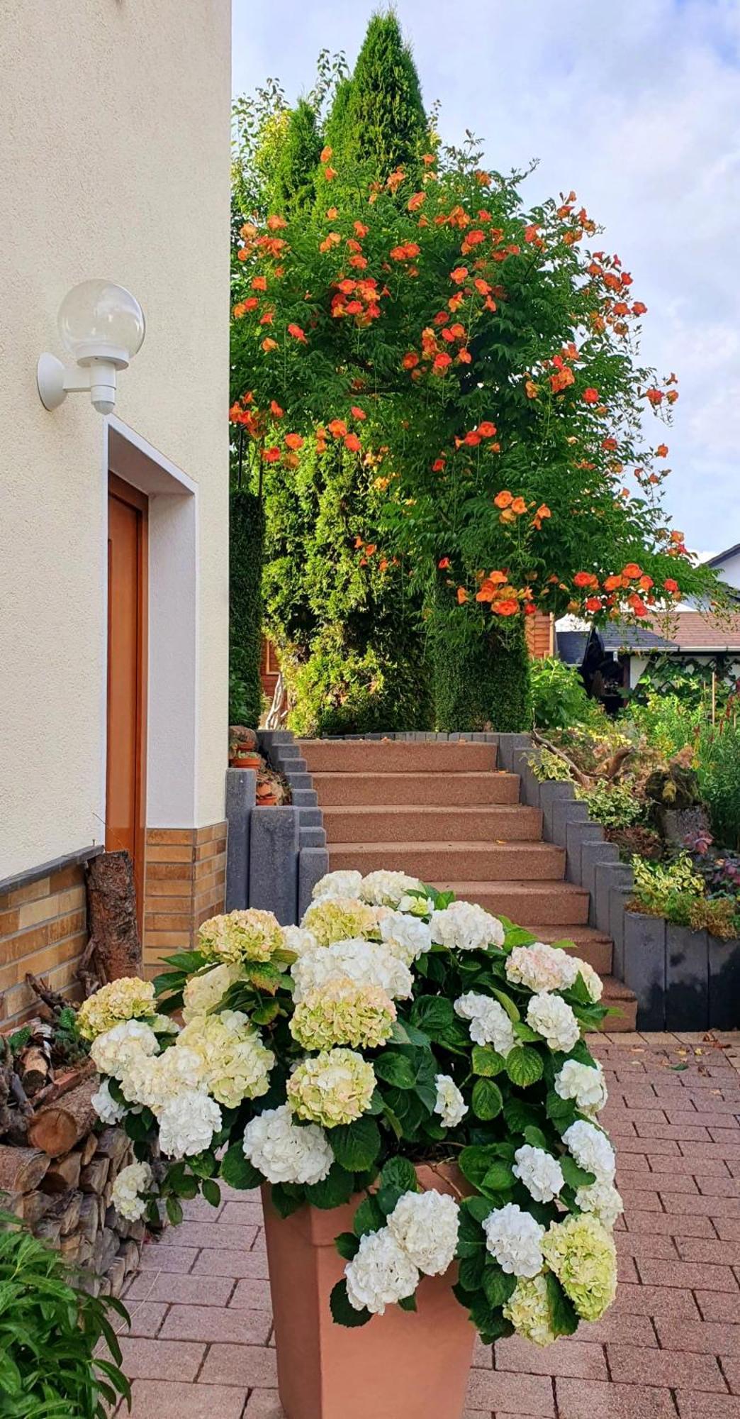 Gaestezimmer Weinberg Steinau an der Straße Eksteriør billede
